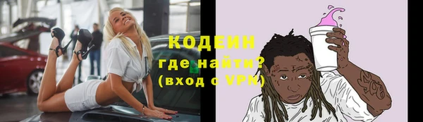 прущие грибы Богородицк
