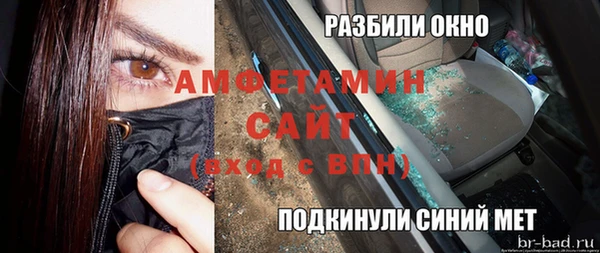 прущие грибы Богородицк