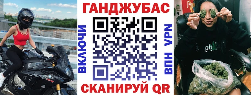 нарко площадка формула  Бородино  Конопля сатива 
